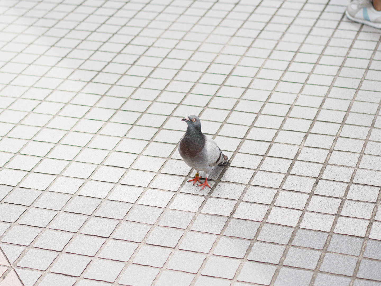 作品4