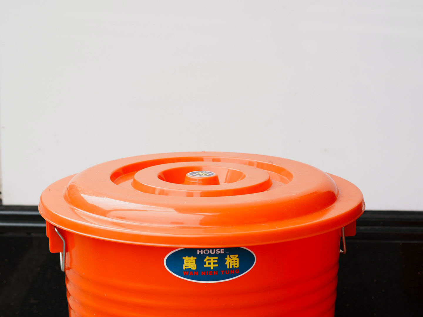 2026.6.28の写真